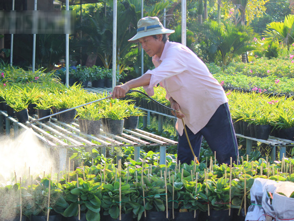Ảnh bìa bài viết 658916