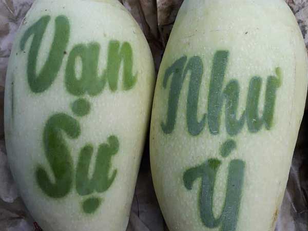 Ảnh bìa bài viết 659402