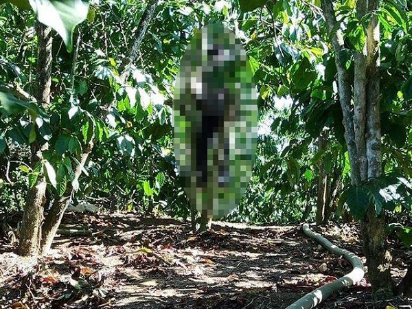 Ảnh bìa bài viết 659694