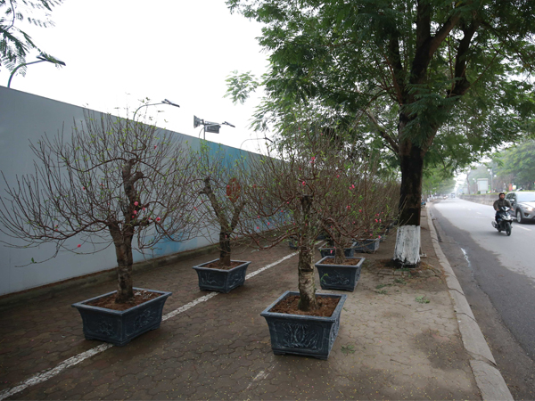 Ảnh bìa bài viết 659881