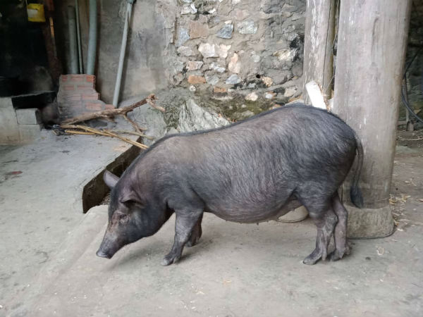 Ảnh bìa bài viết 660136