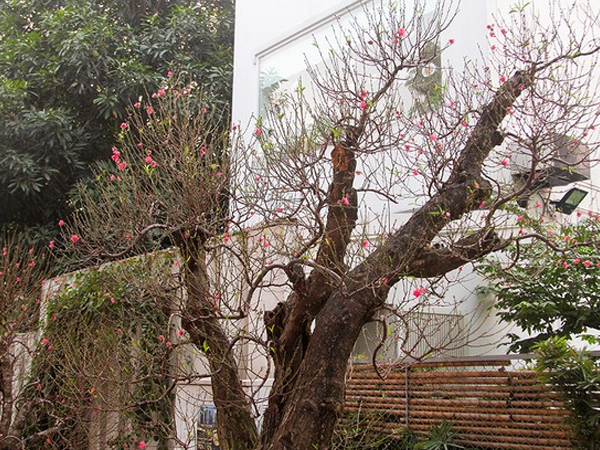 Ảnh bìa bài viết 660847