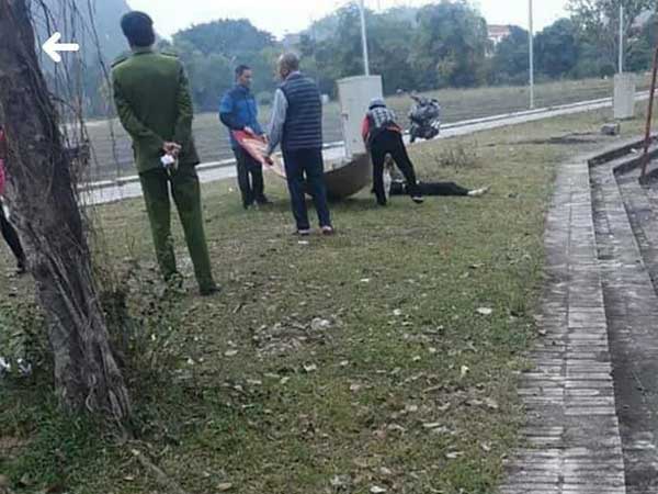 Ảnh bìa bài viết 661567