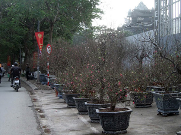 Ảnh bìa bài viết 661738