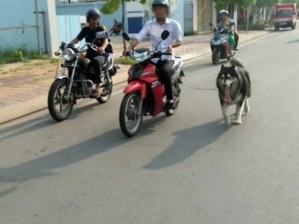 Ảnh bìa bài viết 661704