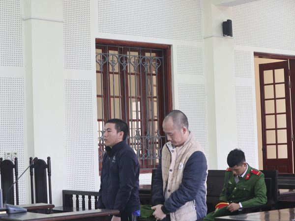 Ảnh bìa bài viết 662016