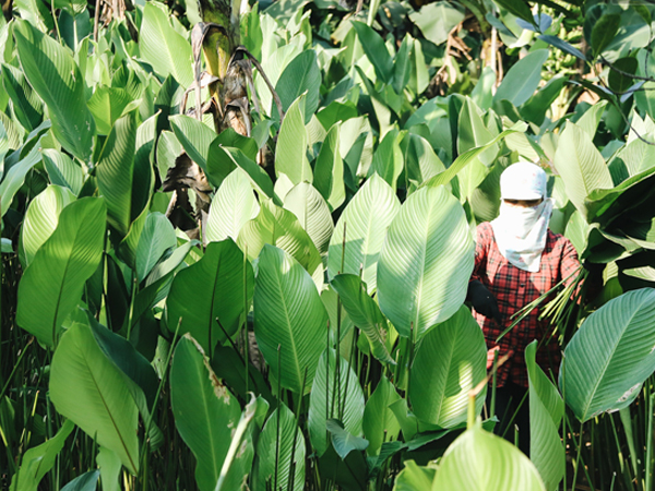 Ảnh bìa bài viết 662262