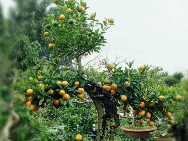Ảnh bìa bài viết 662250