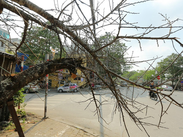Ảnh bìa bài viết 662406