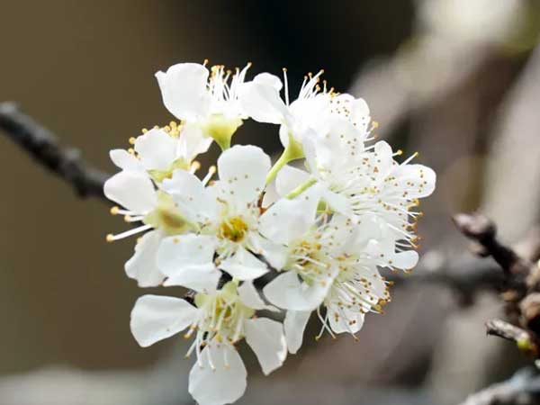 Ảnh bìa bài viết 662537