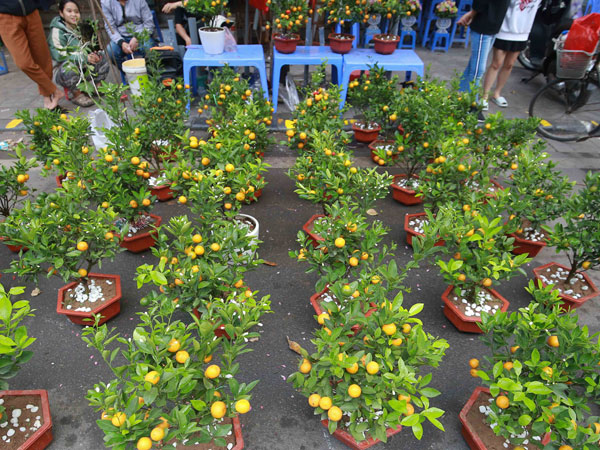 Ảnh bìa bài viết 662932