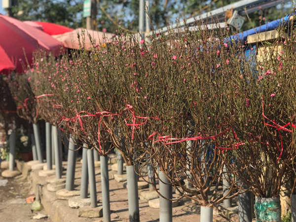 Ảnh bìa bài viết 663191