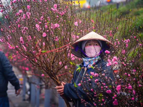 Ảnh bìa bài viết 663524