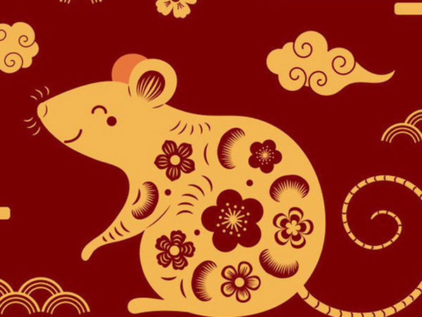 Ảnh bìa bài viết 663806
