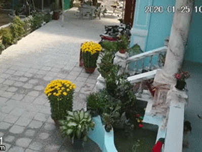 Ảnh bìa bài viết 664124