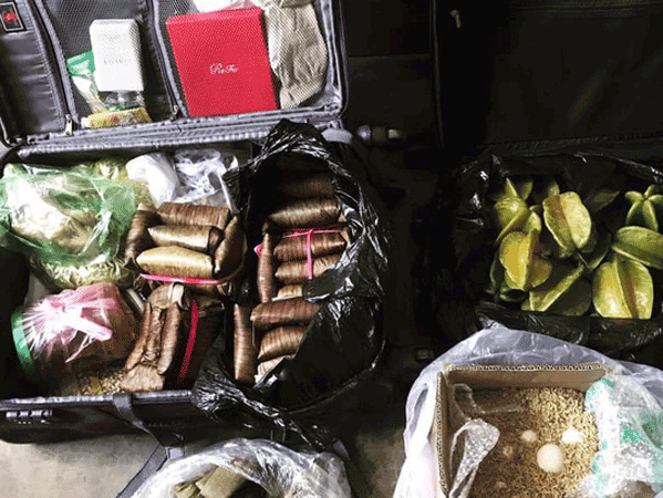Ảnh bìa bài viết 664507