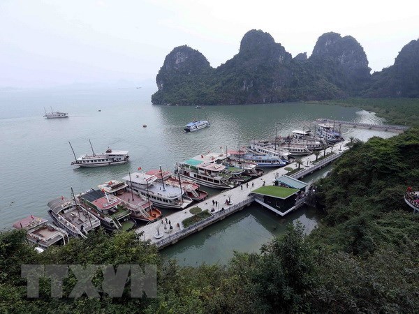Ảnh bìa bài viết 665406