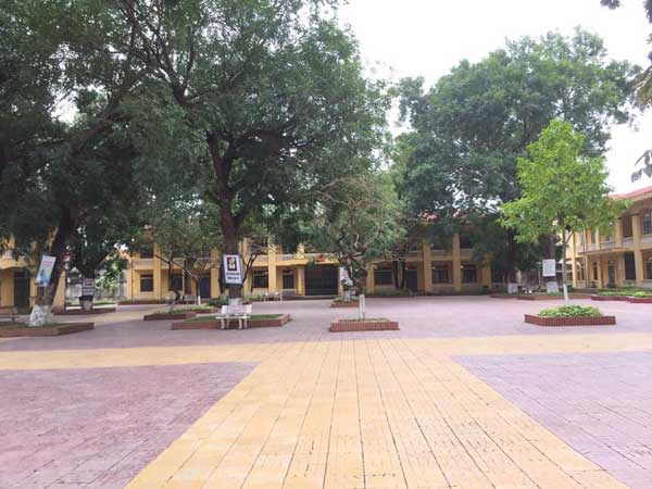 Ảnh bìa bài viết 665520