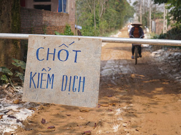 Ảnh bìa bài viết 666089