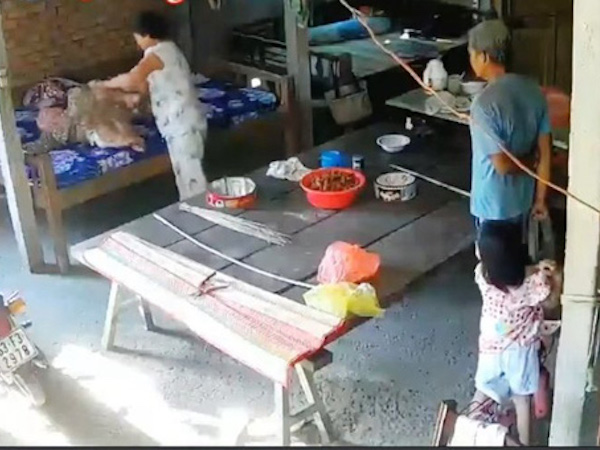 Ảnh bìa bài viết 668739