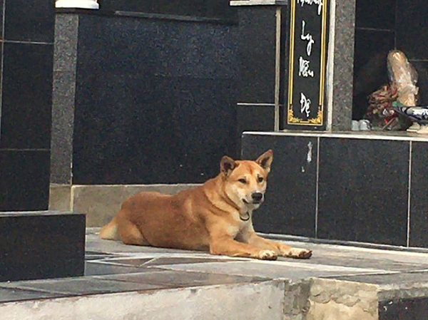 Ảnh bìa bài viết 668894