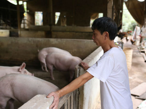 Ảnh bìa bài viết 670401