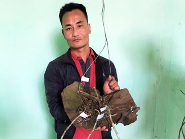 Ảnh bìa bài viết 670814