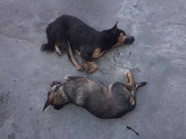 Ảnh bìa bài viết 671658