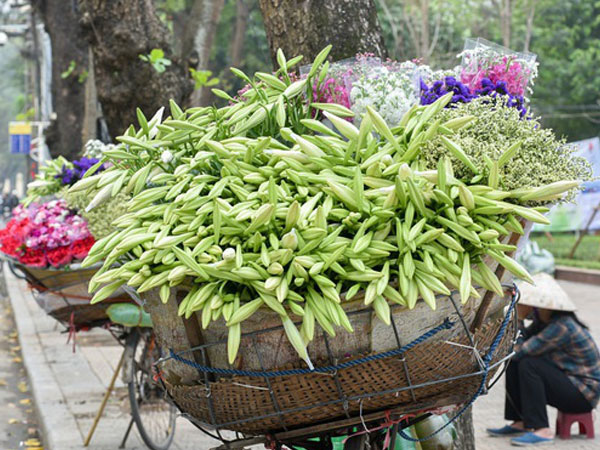 Ảnh bìa bài viết 673194