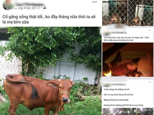 Ảnh bìa bài viết 674465