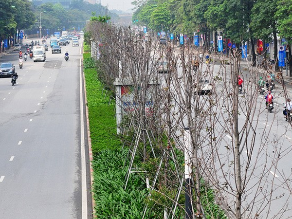 Ảnh bìa bài viết 676721