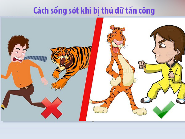 Ảnh bìa bài viết 676968