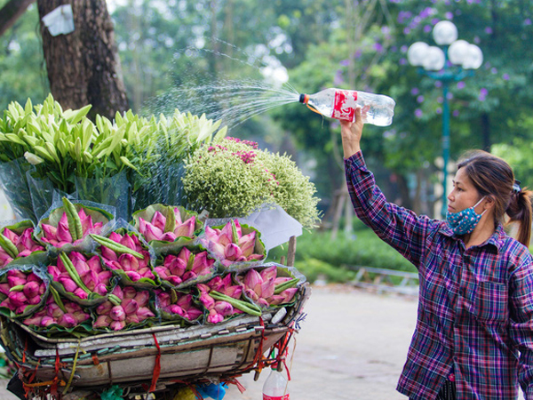 Ảnh bìa bài viết 682372