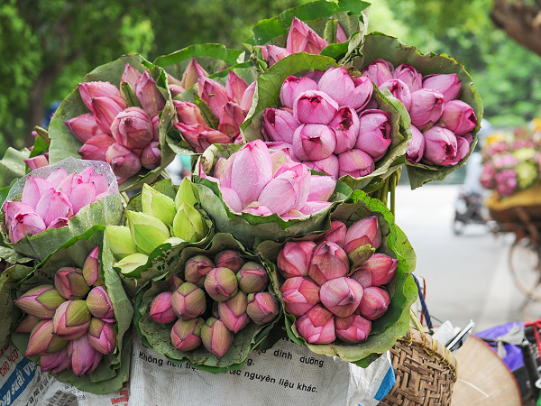 Ảnh bìa bài viết 682852