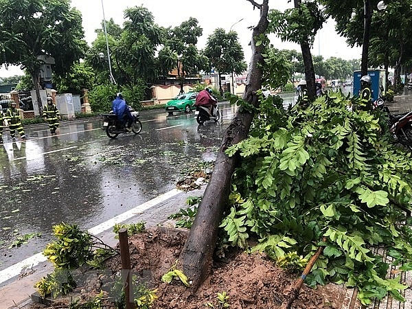 Ảnh bìa bài viết 683336