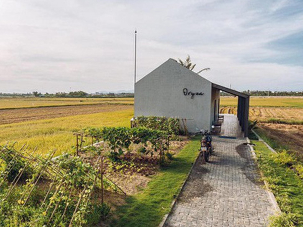 Ảnh bìa bài viết 683629