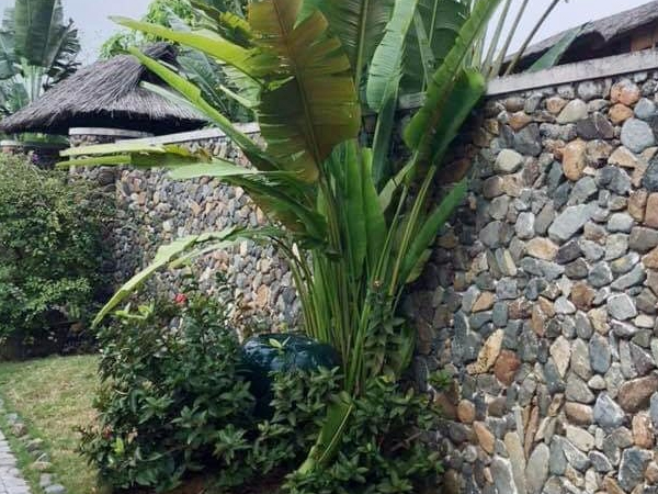 Ảnh bìa bài viết 683653