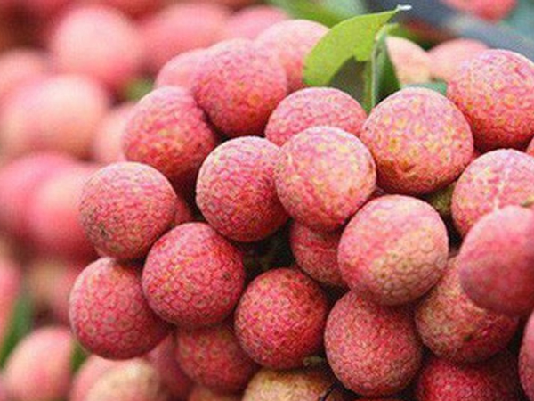 Ảnh bìa bài viết 684061
