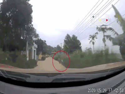 Ảnh bìa bài viết 684291