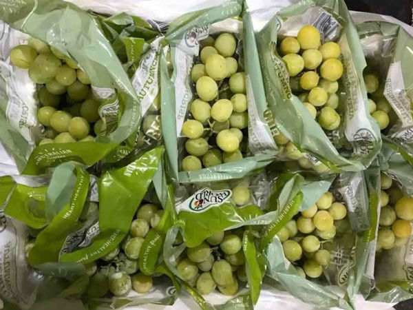 Ảnh bìa bài viết 684824