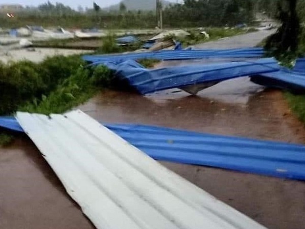 Ảnh bìa bài viết 686080