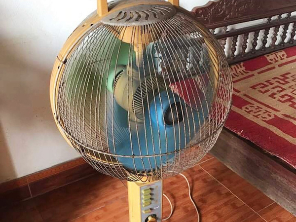 Ảnh bìa bài viết 686539