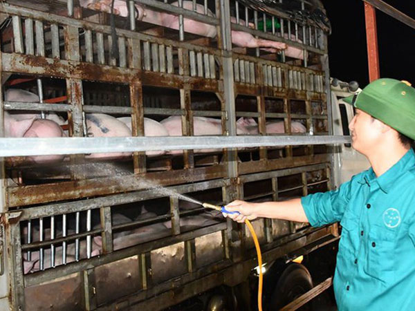 Ảnh bìa bài viết 686636