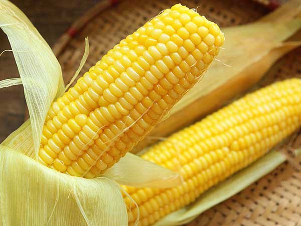 Ảnh bìa bài viết 688360