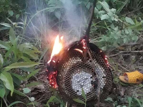 Ảnh bìa bài viết 688828