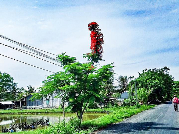Ảnh bìa bài viết 689070