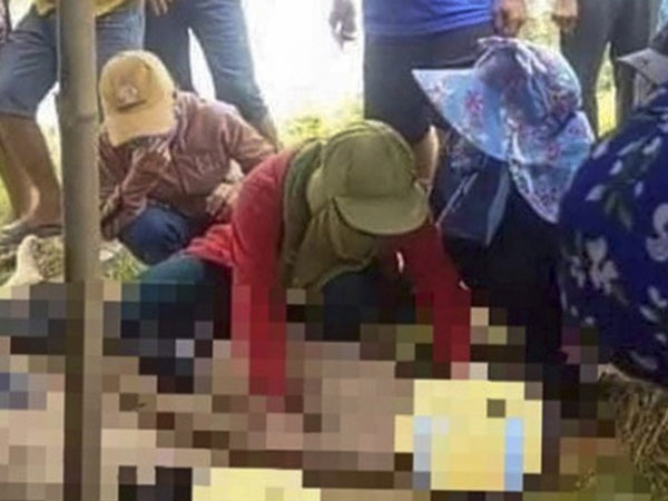 Ảnh bìa bài viết 689150