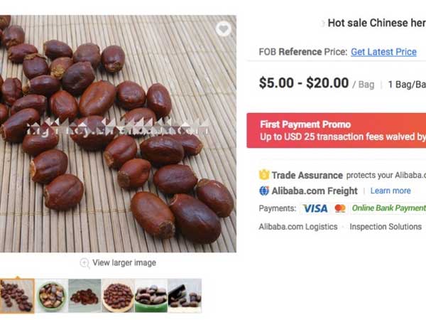 Ảnh bìa bài viết 689195