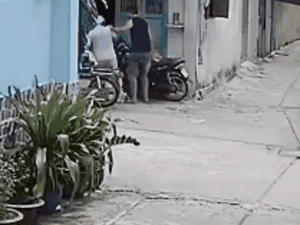 Ảnh bìa bài viết 691306