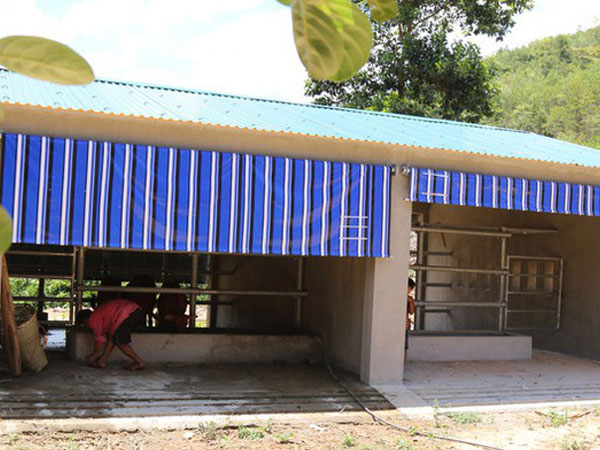 Ảnh bìa bài viết 693667